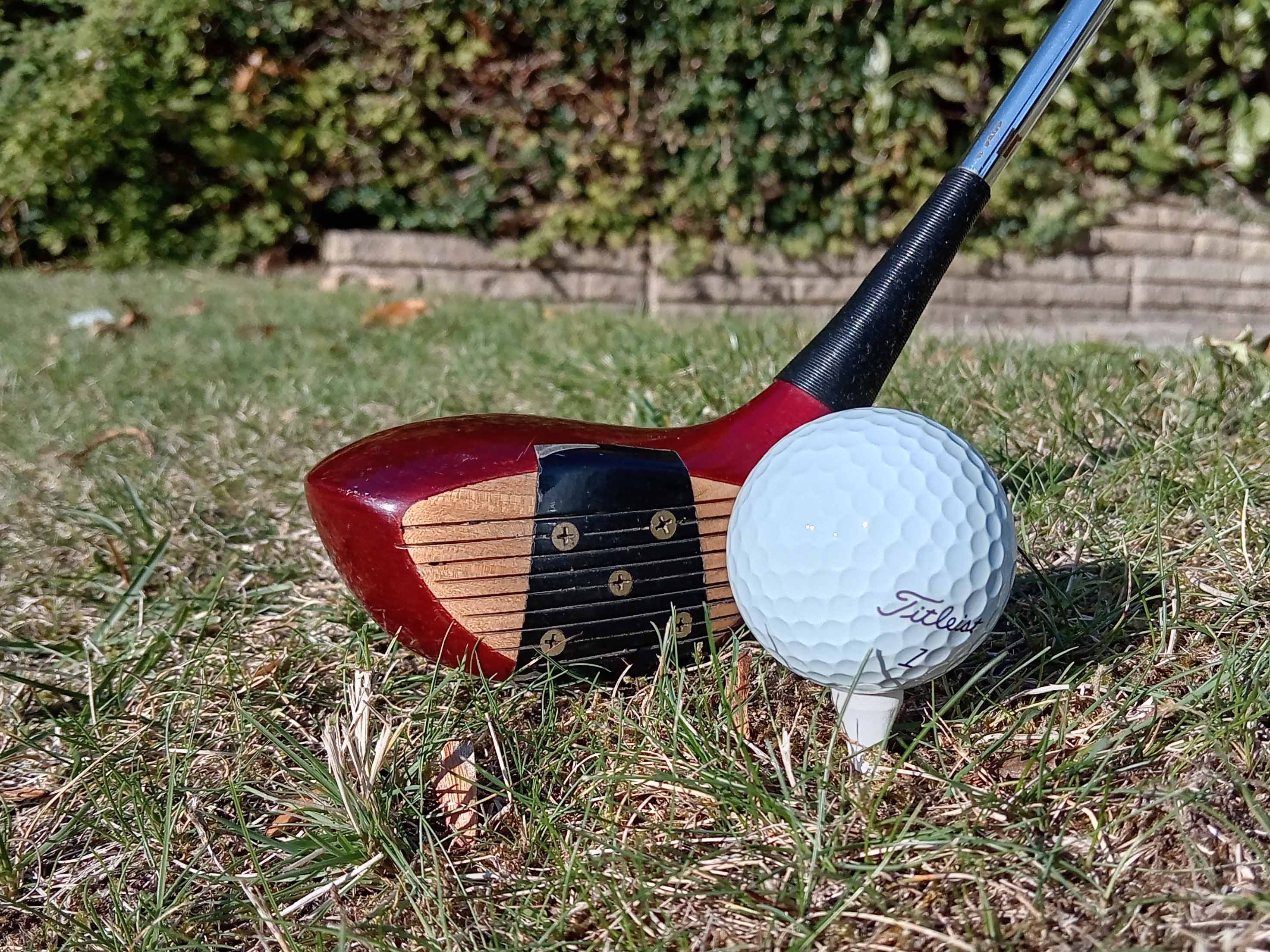 Golf Tee