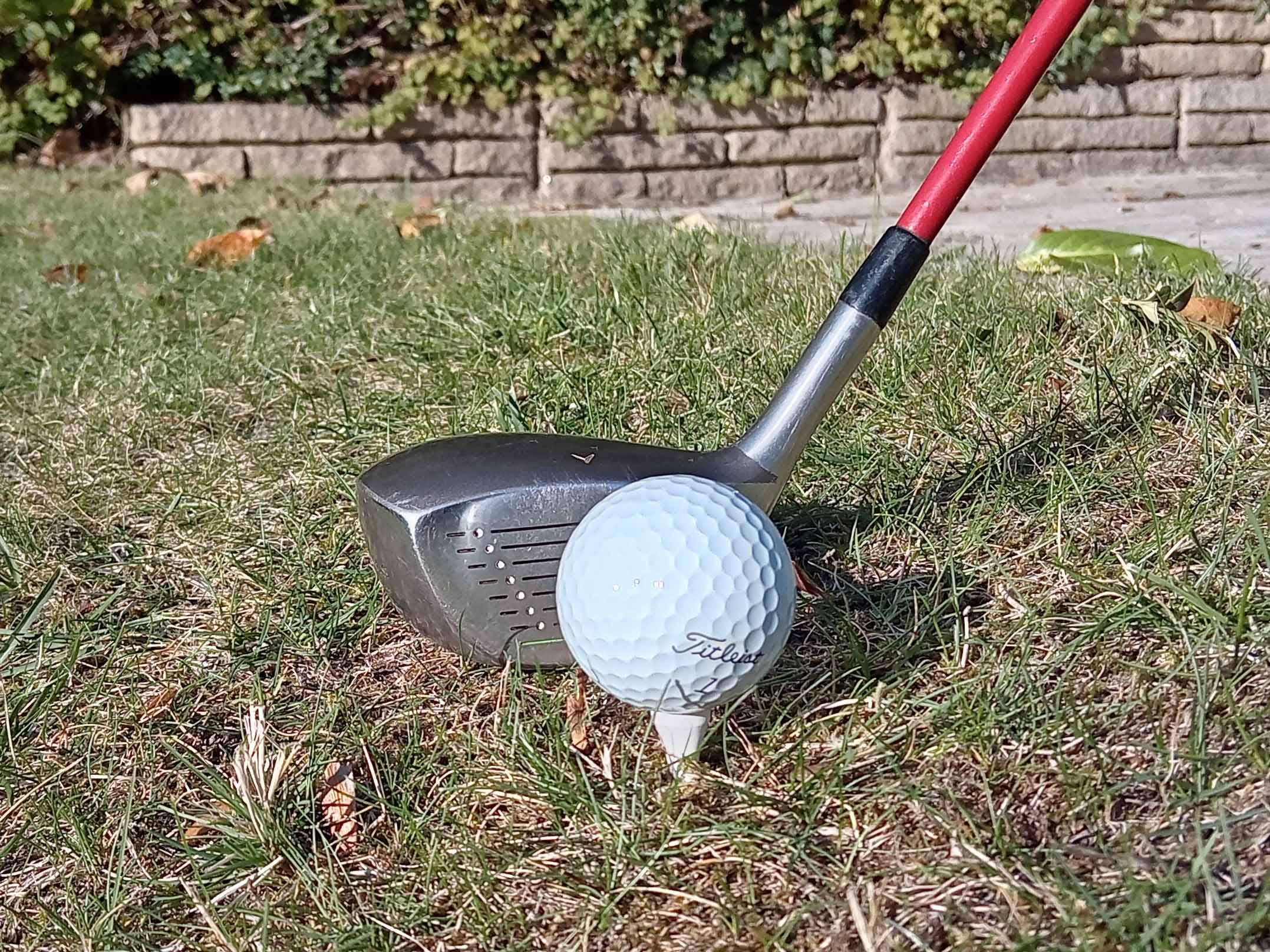 Golf Tee